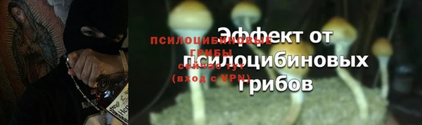 мескалин Белокуриха