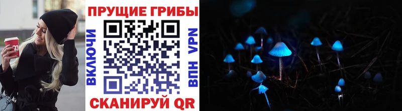 Галлюциногенные грибы Magic Shrooms  мега ссылки  Кувшиново 